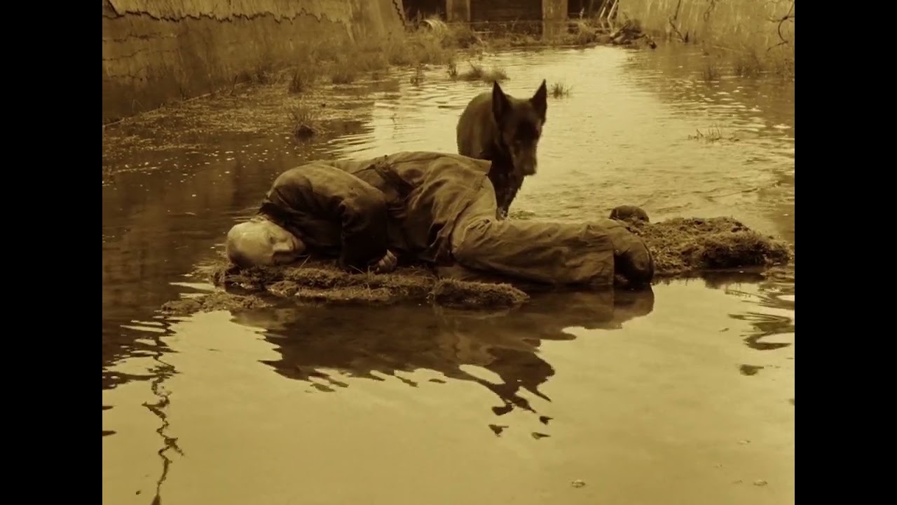 Stalker (1979) scene - Andrei Tarkovsky