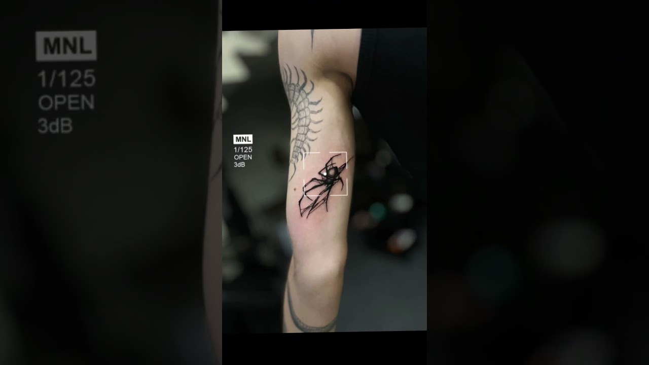 Got a new creepy crawly friend. #TattooTok #FreshInk #SpiderTattoo #Inked #TattooAddict#TattooLovers