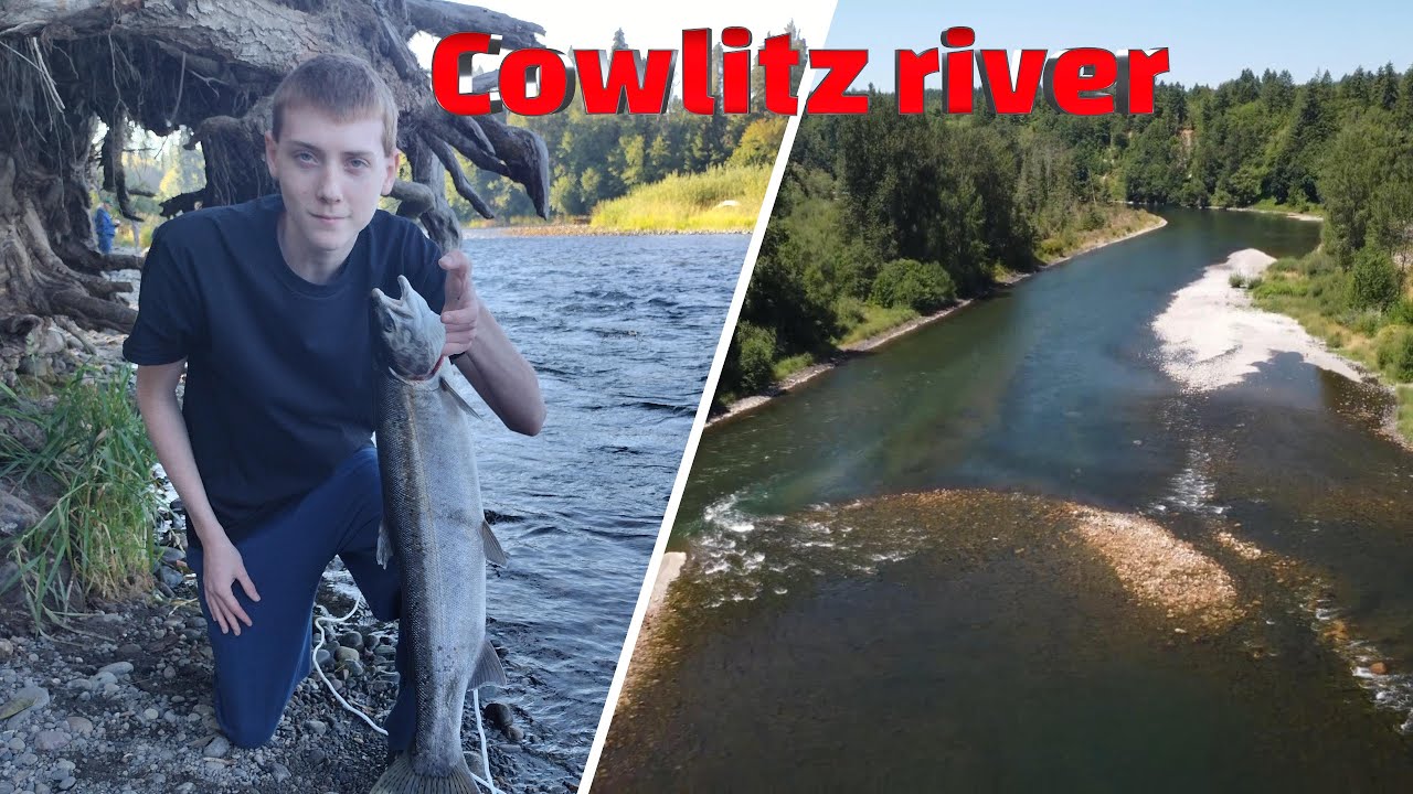 Cowlitz river Summer steelhead