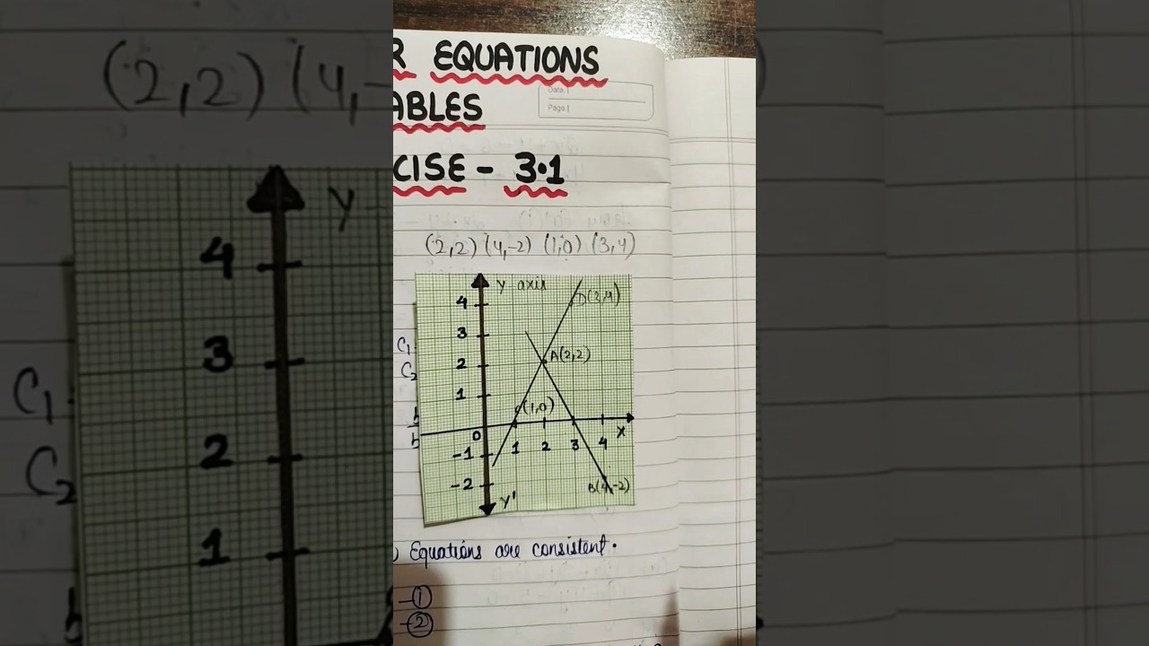 Exercise 3.1 Q. 4 ( iii) class 10| Chapter 3 | pair of linear equations in two variables