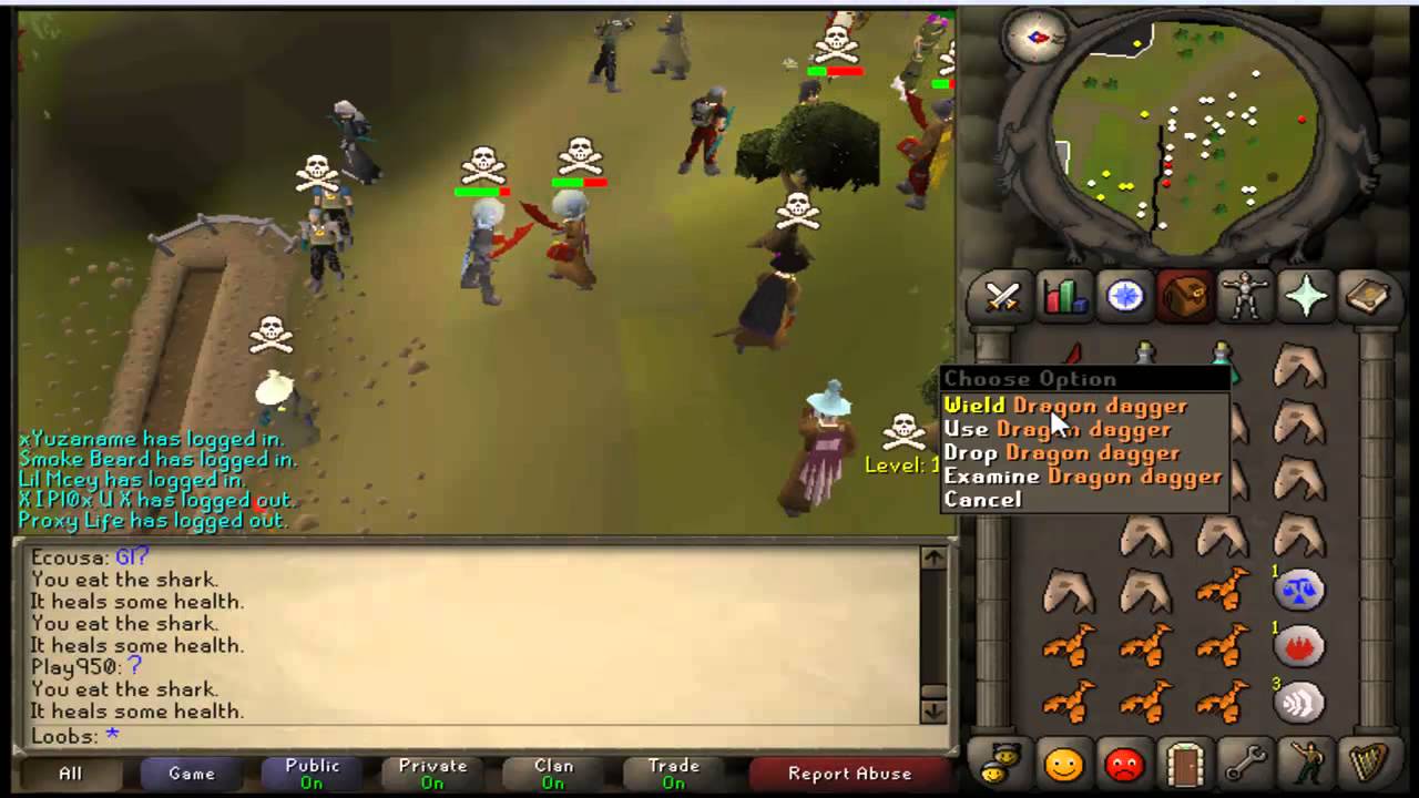 Small Pk Video Oldschool 2007