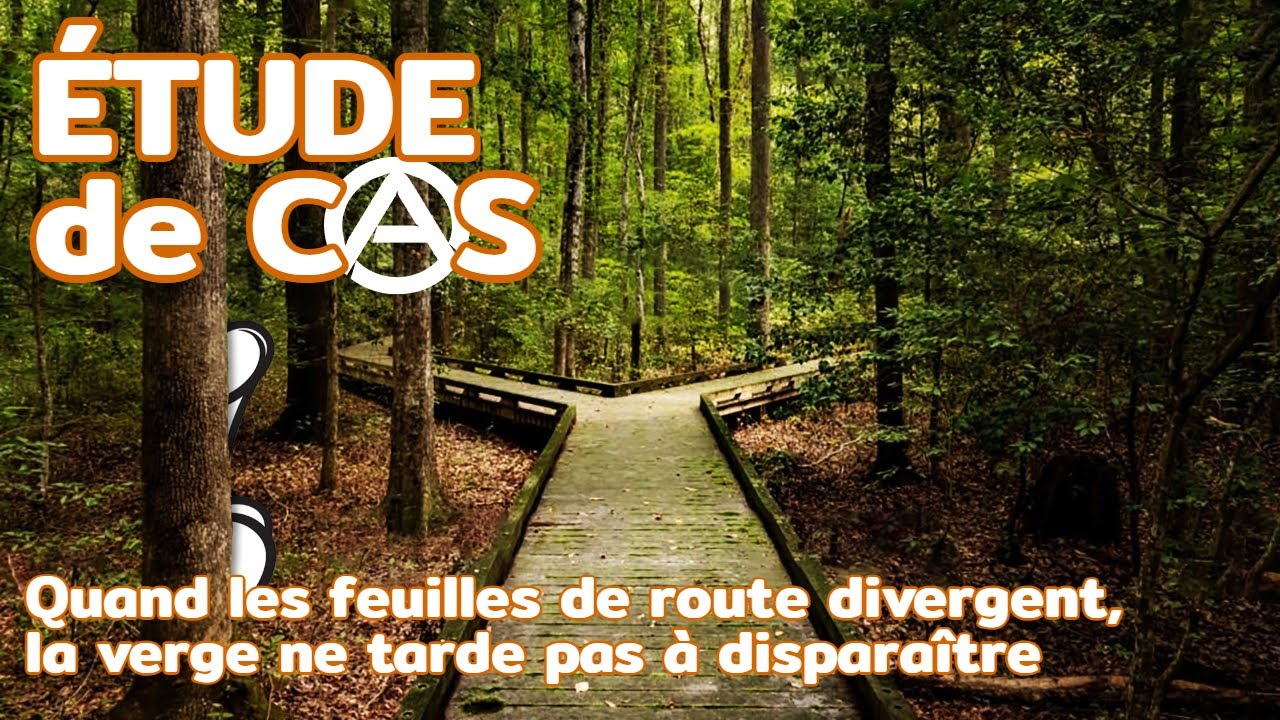 Les problématiques se**uelles ne sont (presque) jamais d'origine se**uelle | Étude de cas