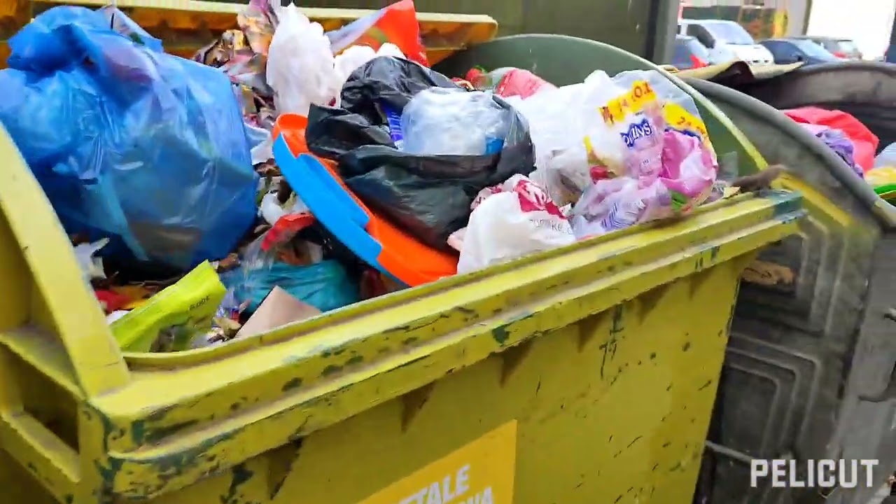 Hasiok.pl Trumna na śmietniku 😱 śmietnikowy spacer po Myslowicach