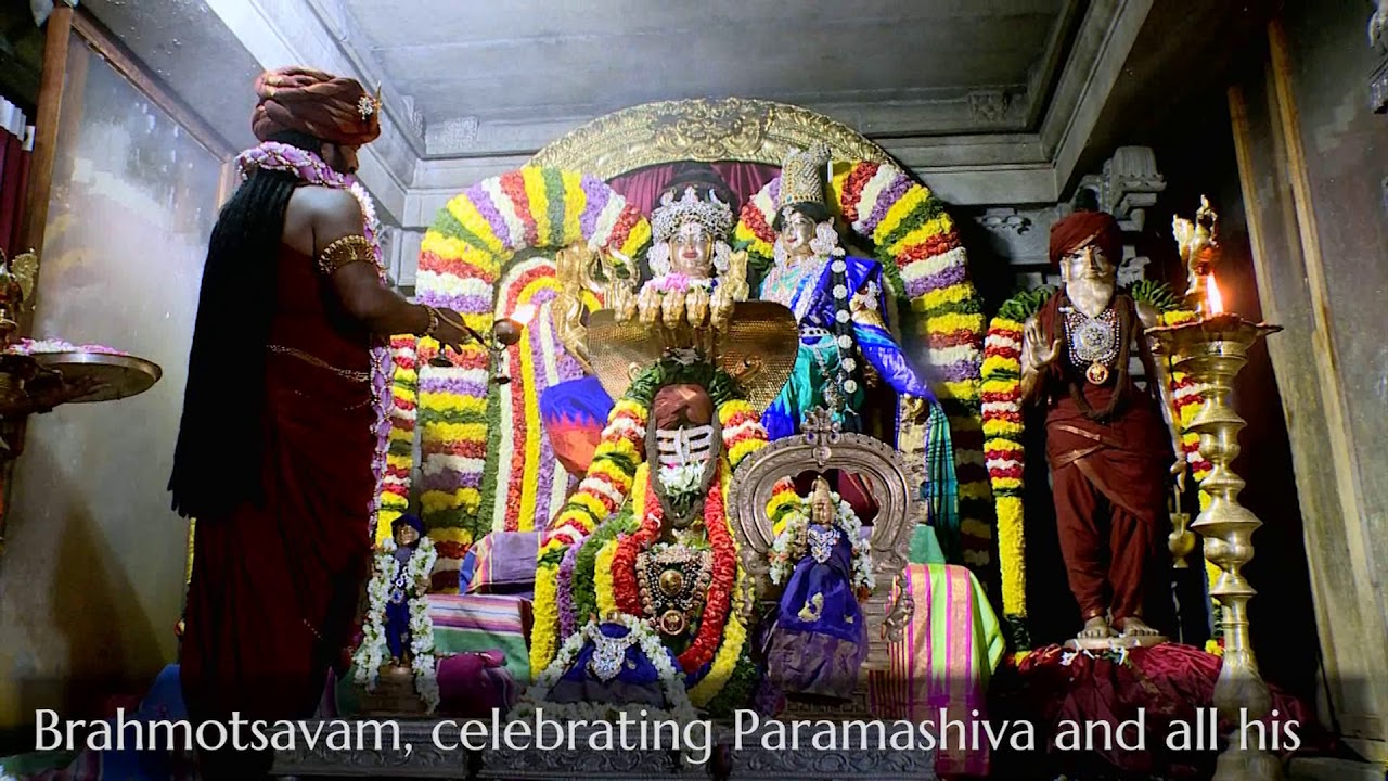 Paramashivoham Oneness Capsule 131 (24 NOV 2017  Nithyanandeshwara Brahmotsavam)