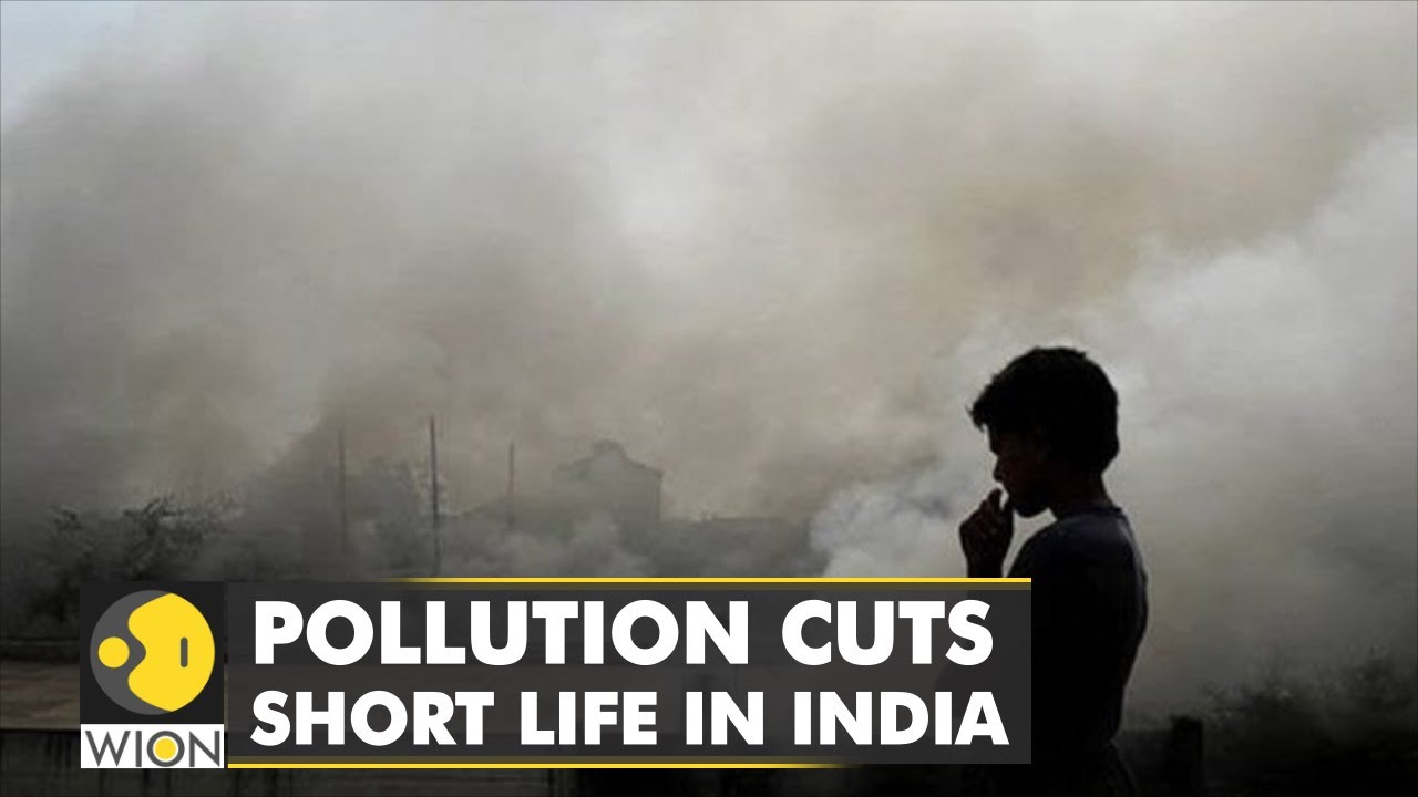 Pollution becomes greatest threat to human health in India | WION Climate Tracker