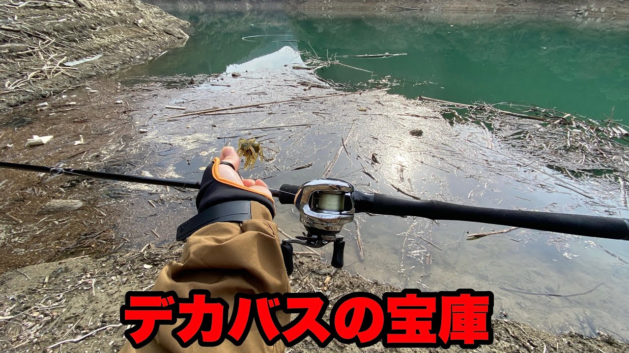 春のゴミ溜まりは見つけたら勝ち確です。