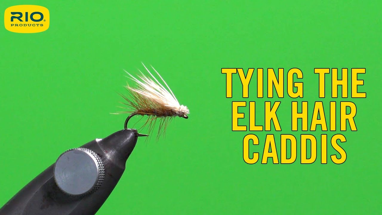 Tying The Fly - Elk Hair Caddis