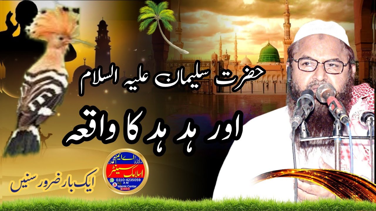 Molana Nawaz Cheema Sahib Hazrat Sule man Ale salam Aur  Hod Hod Ka Wakiya AM islamic center