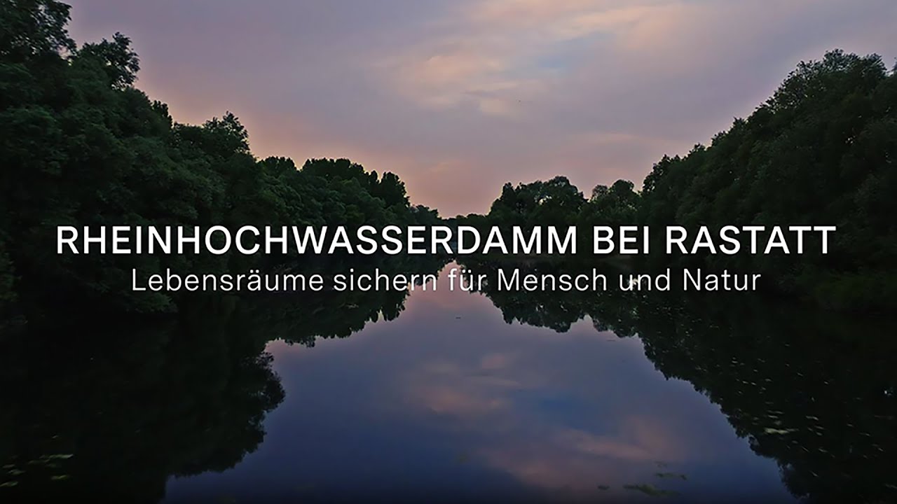 Rheinhochwasserdamm bei Rastatt – Lebensräume sichern für Mensch und Natur