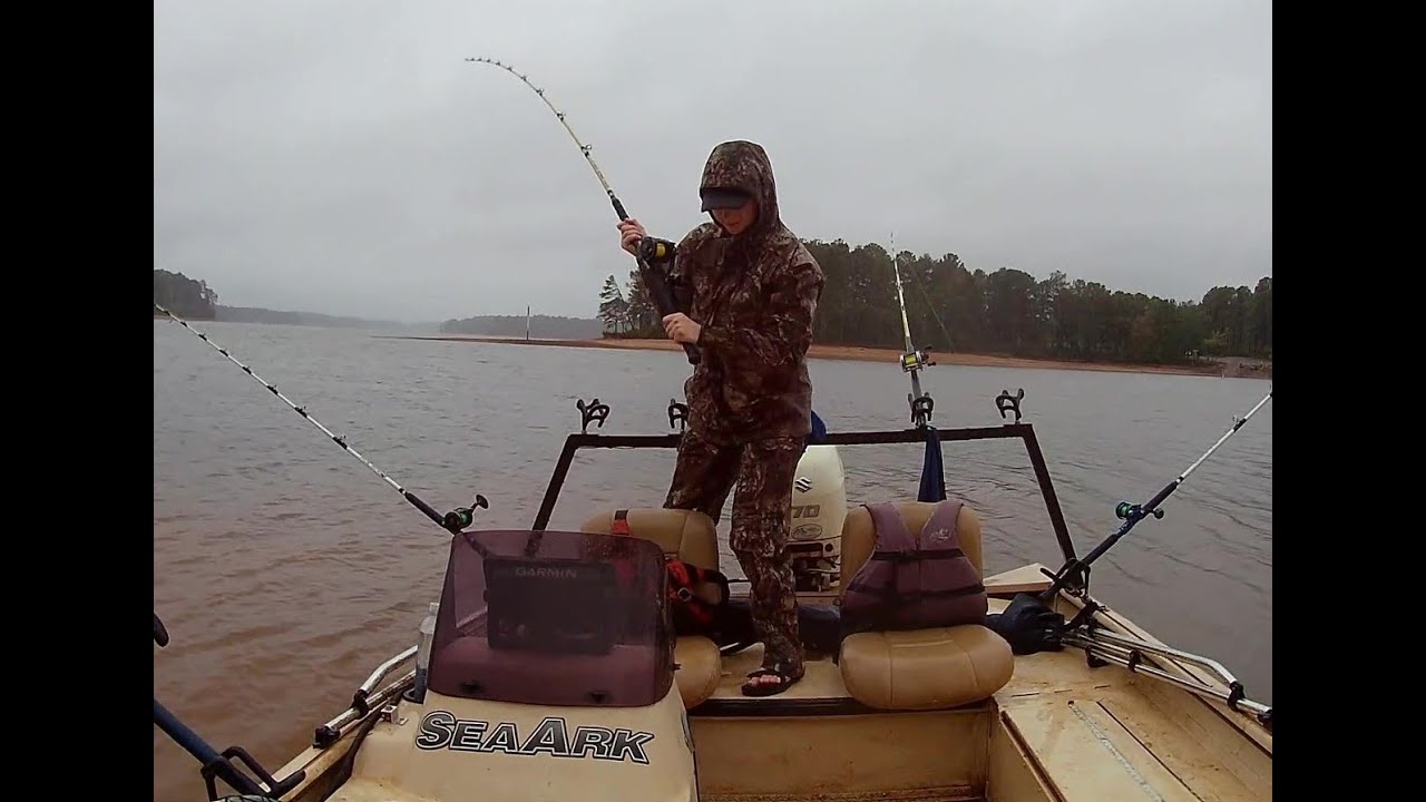 Catfishing in Tropical Storm Francine