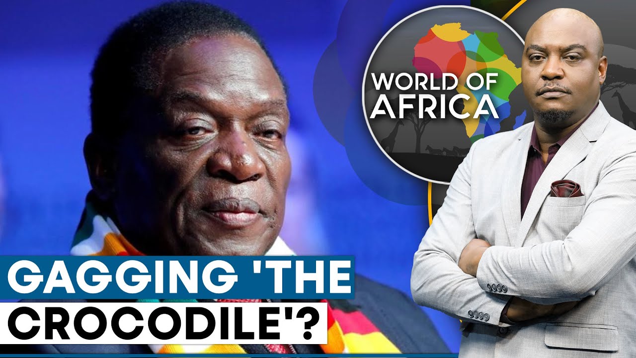 Zimbabwe's President Emmerson Mnangagwa Faces Calls To Resign | World Of Africa