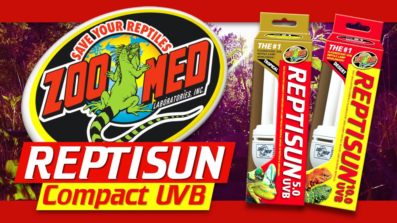 Zoo Med ReptiSun&reg; Compact UVB - Kiosk Video
