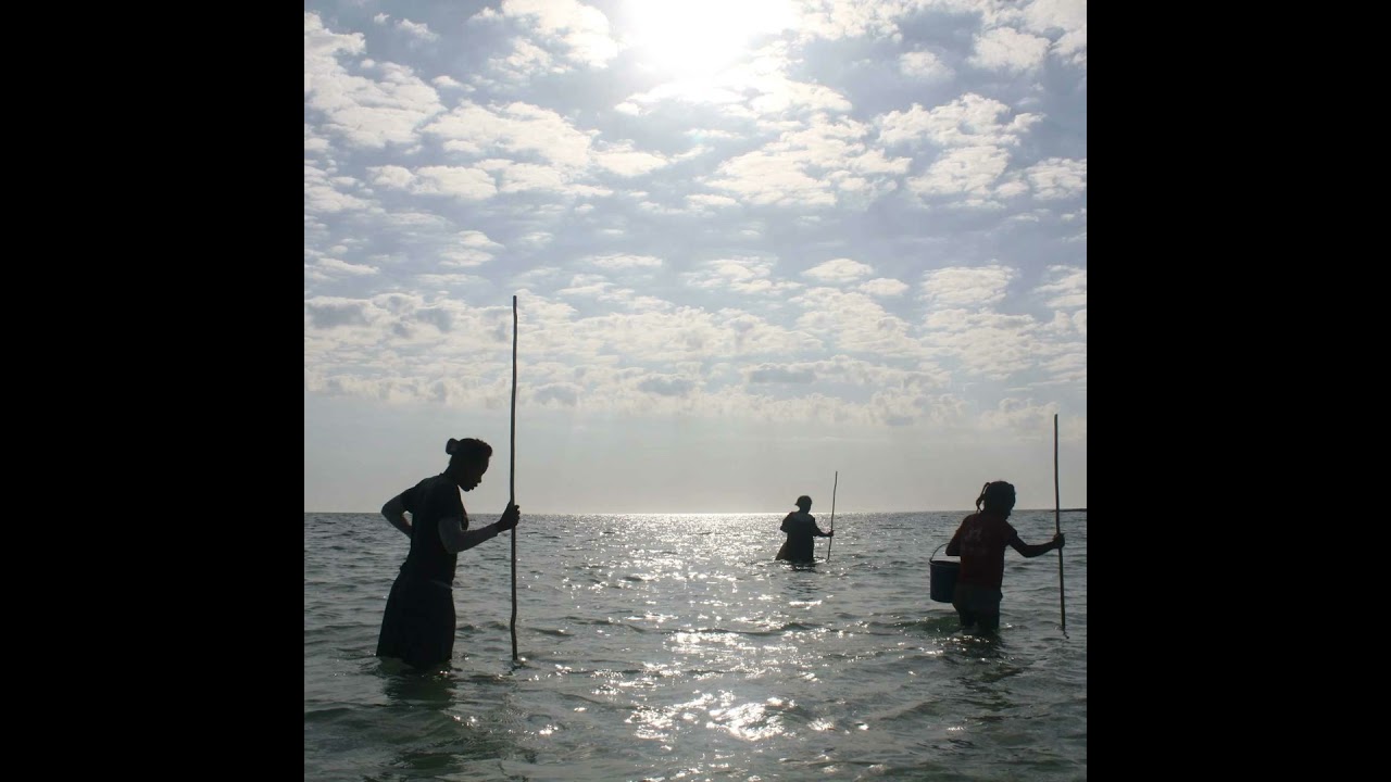 Are Madagascar’s Marine Biodiversity Programs Working?