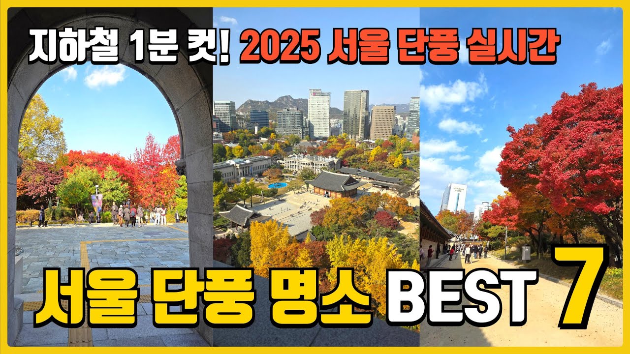 서울 도심에서 만나는 단풍 명소 7곳!