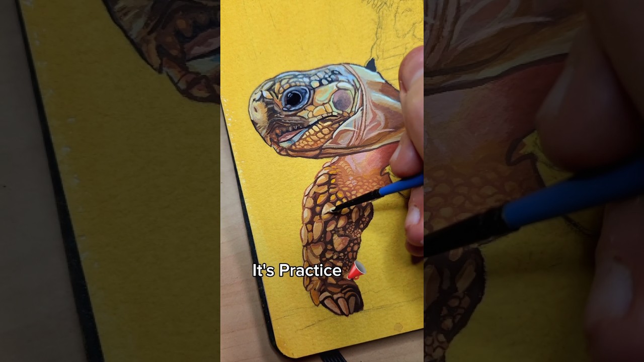 Practice equals #improvement #art #gouache #artist #tortoise #illustration #paint #painting #glowup