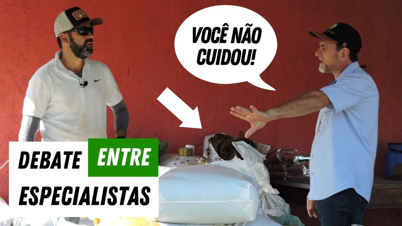 SILAGEM ENSACADA: erros mostrados na prática - Parte 1