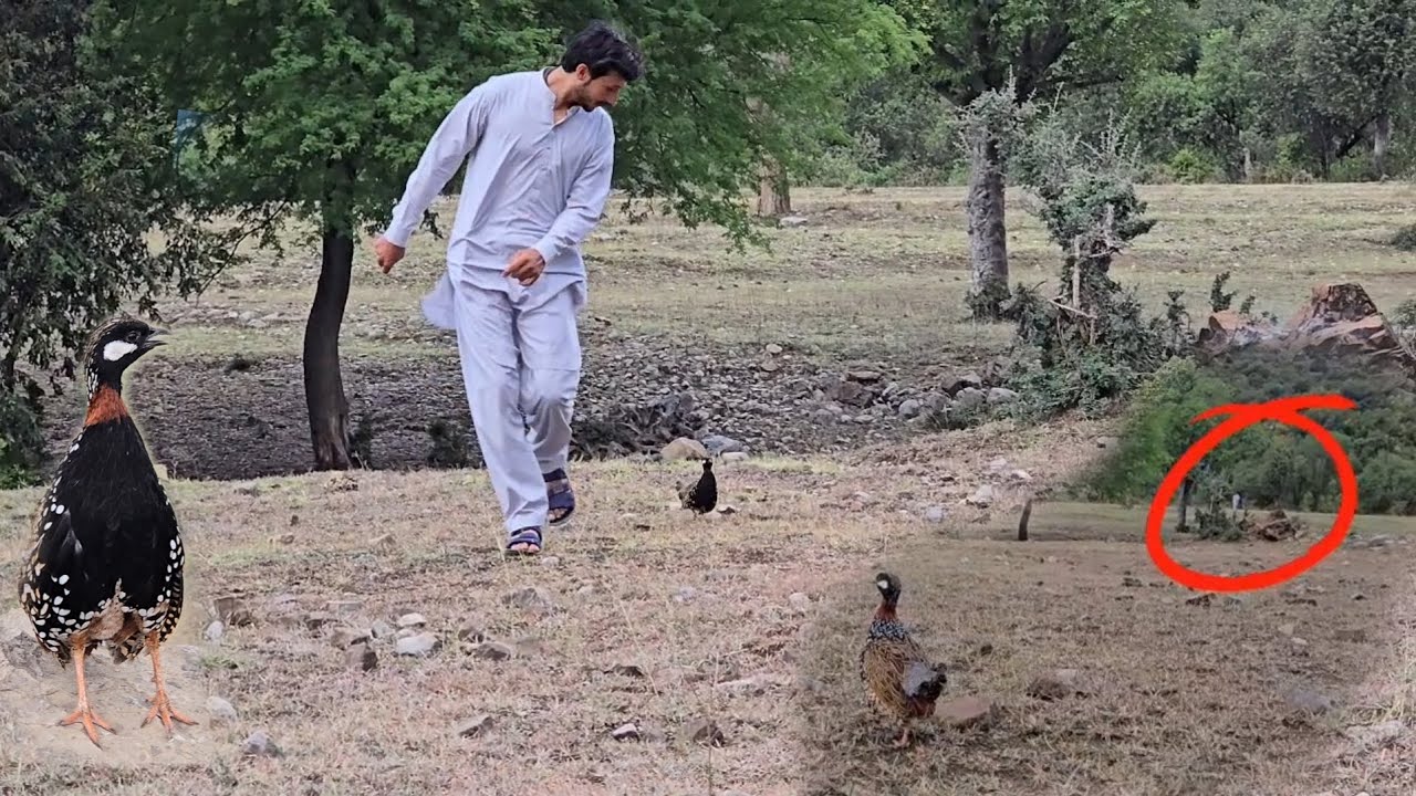 Bahut Door Bande ko Dekh Kr Kalateetar Wahan ponch jata