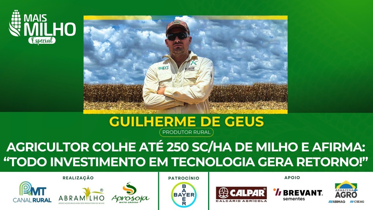 Agricultor colhe até 250 sacas de milho por hectare: 
