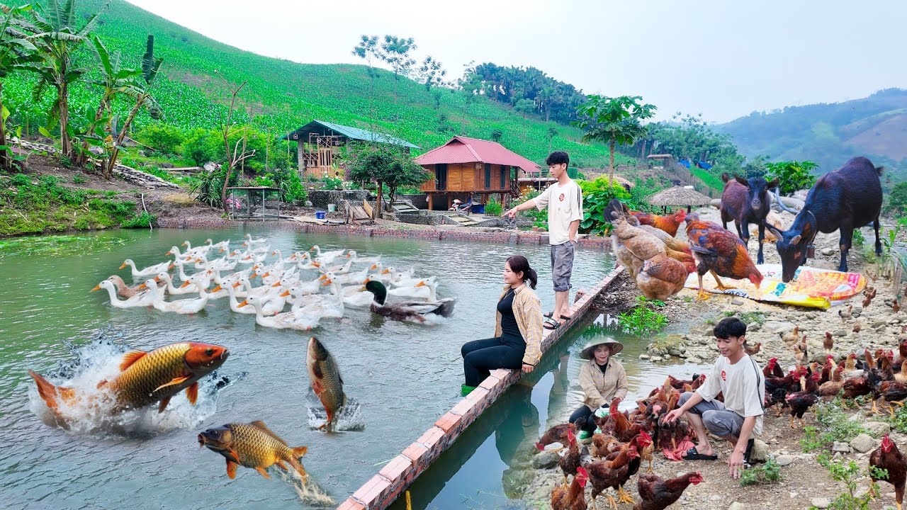 I Created My DREAM Farm on a RAINY DAY with CHICKENS and FISH PONDS!