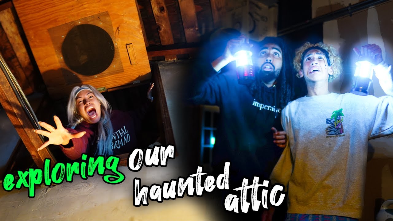 We FINALLY go into our ATTICS CRAWL SPACE... BUILT IN THE 1950s !!