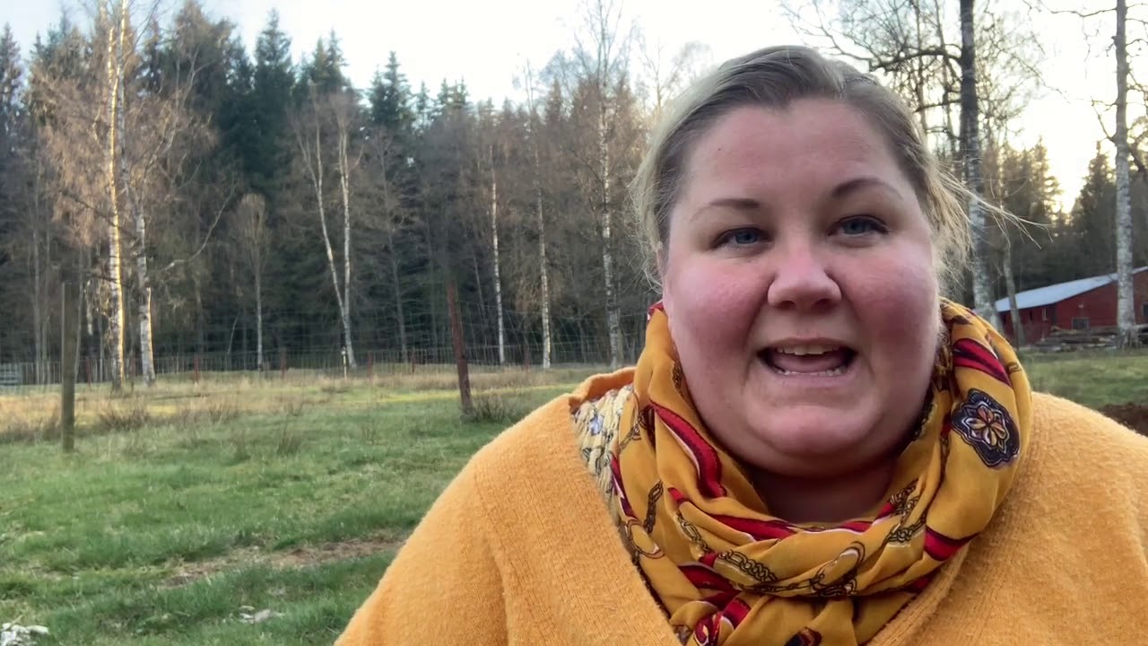 F&ouml;rfattaren Jessica Mann ber&auml;ttar om Blygerhundar och varf&ouml;r hon skrev den