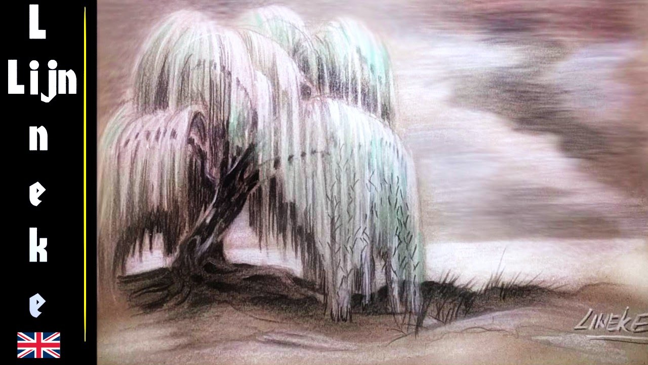 Easy TREE for beginners pencil drawing