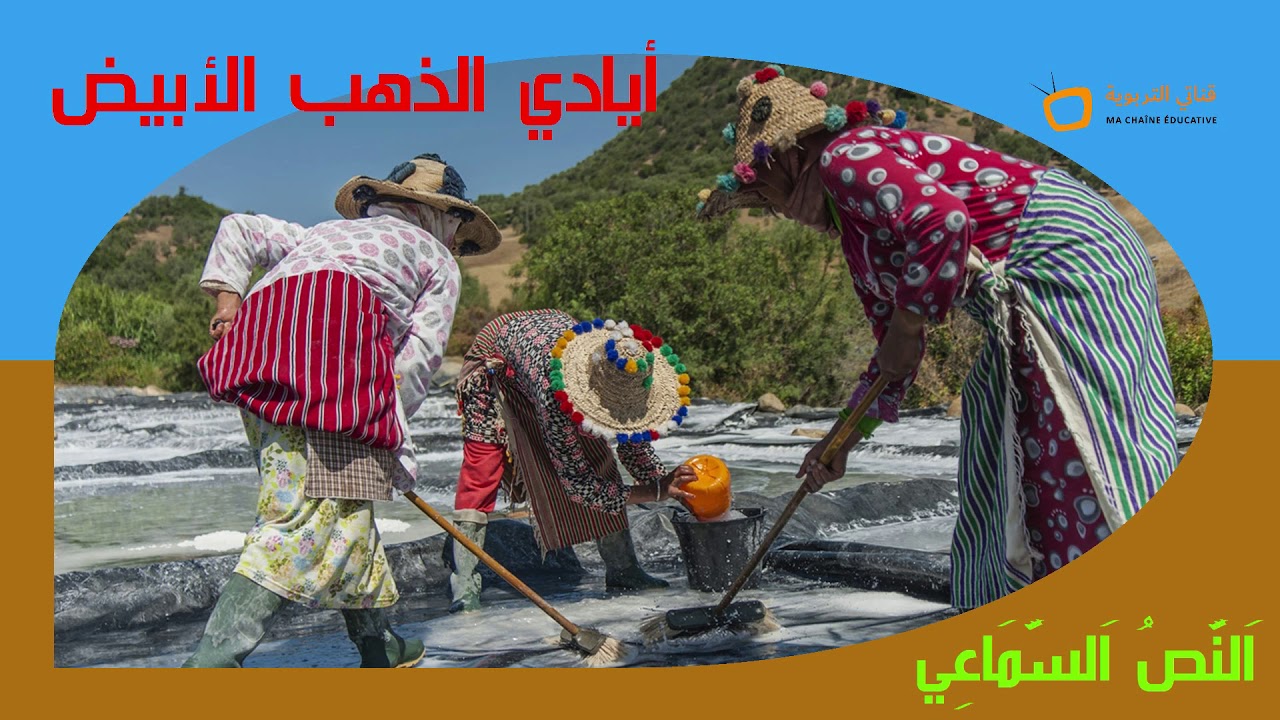 النص السماعي 14 - أيادي الذهب الأبيض - واحة الكلمات العربية المستوى الرابع White gold hands
