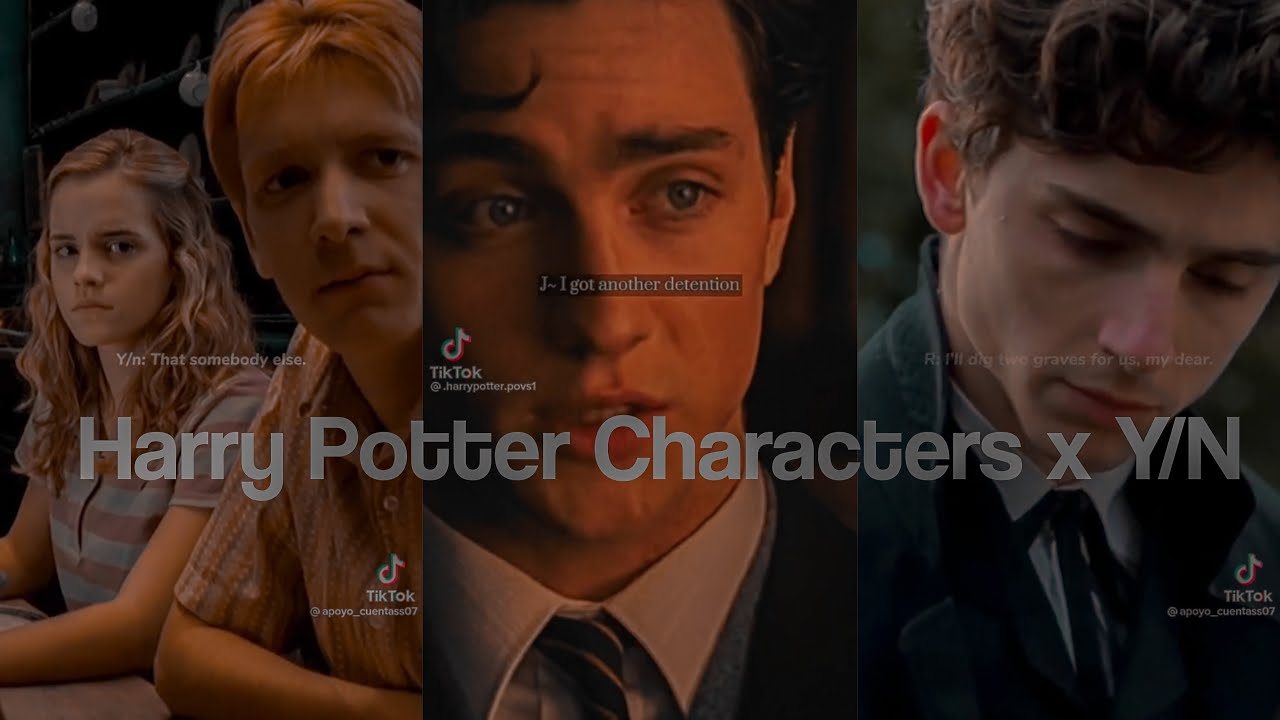 Harry Potter Characters x Y/N TikTok POV