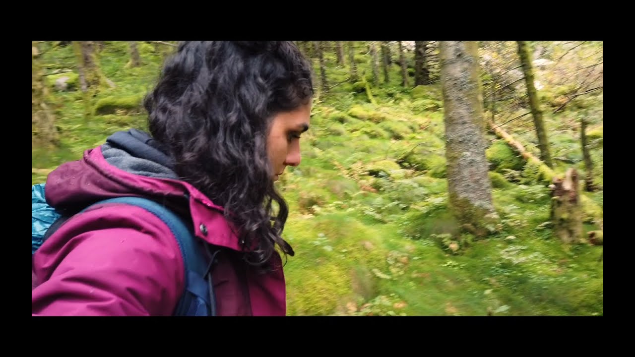 Avec le temps - Alex N music