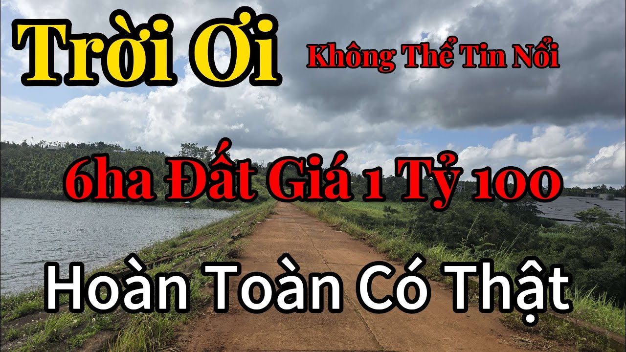 SIÊU PHẨM 6HA GIÁ CHỈ 1TY 100 CẦN BÁN NHANH TRONG TUẦN. GIÁ QUÁ RẺ