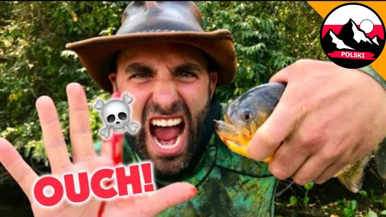 Człowiek kontra Piranie! Czy Coyote zostanie ZJEDZONY NA ŻYWO?! | Brave Wilderness Polski