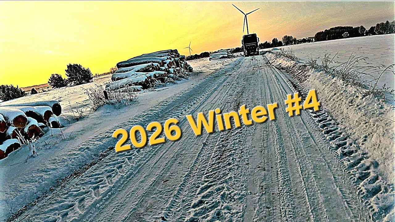2026 Winter #4. Renkam likučius... Medienos standartai...
