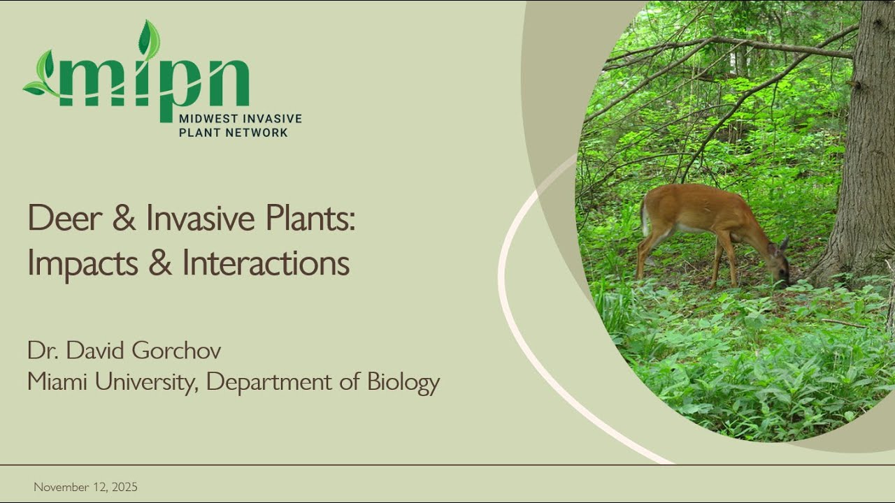 Deer & Invasive Plants: Impacts & Interactions