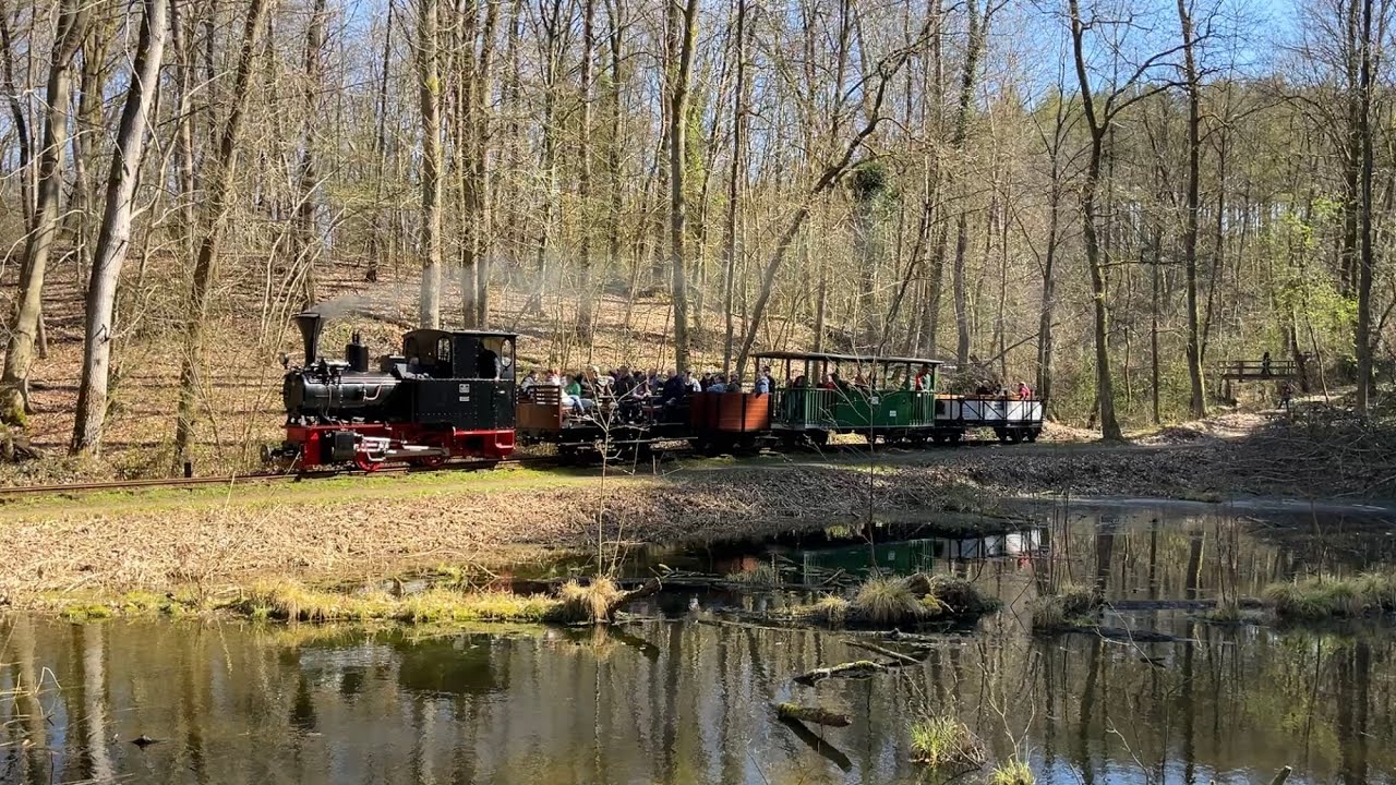 100 Jahre Buchhorster Waldbahn (bei Lauenburg/Elbe) 04-2025