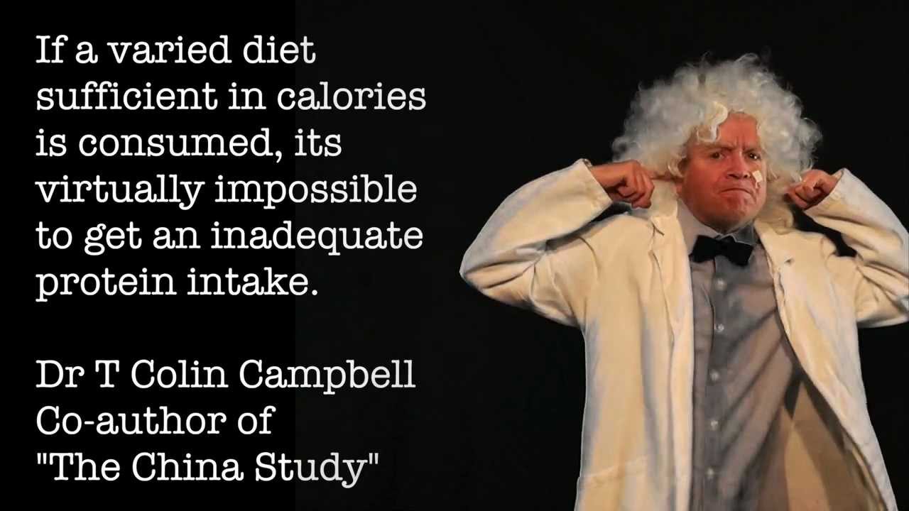 Where Do You Get Your Protein?