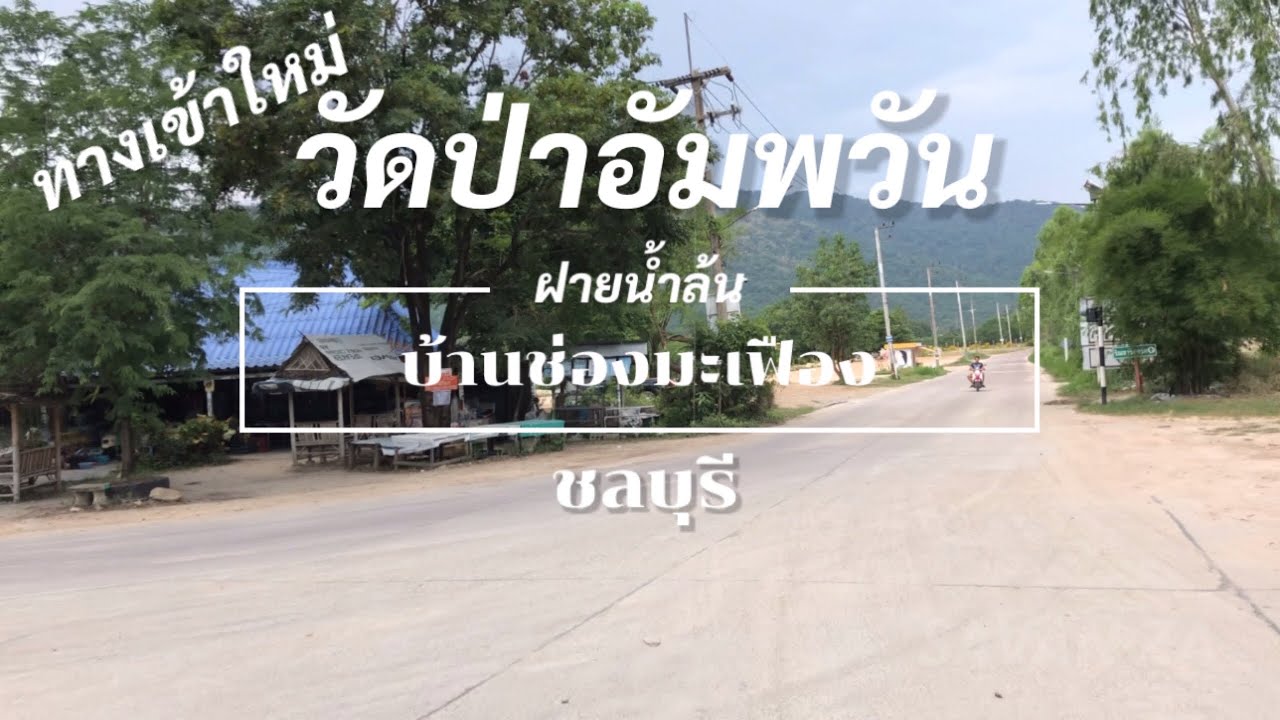 ทางเข้าใหม่ของวัดป่าอัมพวัน ชลบุรี และทำบุญปล่อยปลา