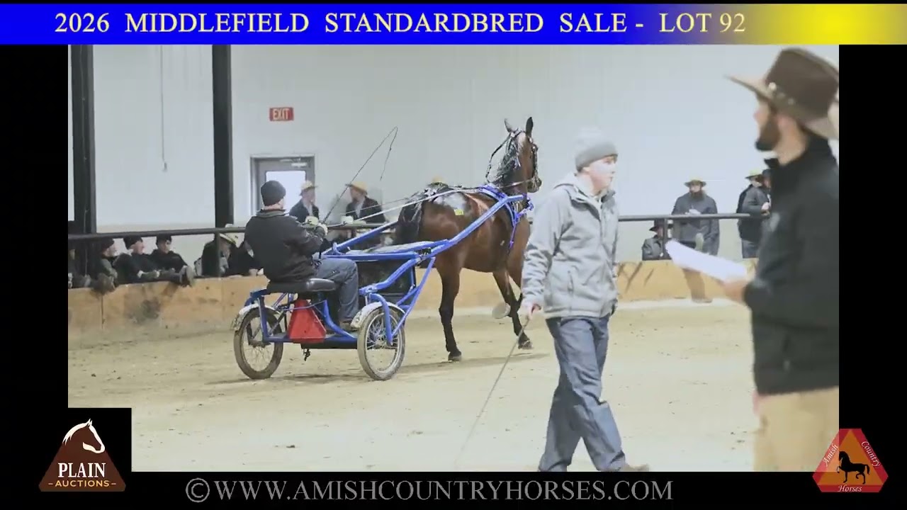 2026 Middlefield Standardbred Sale - Highlights