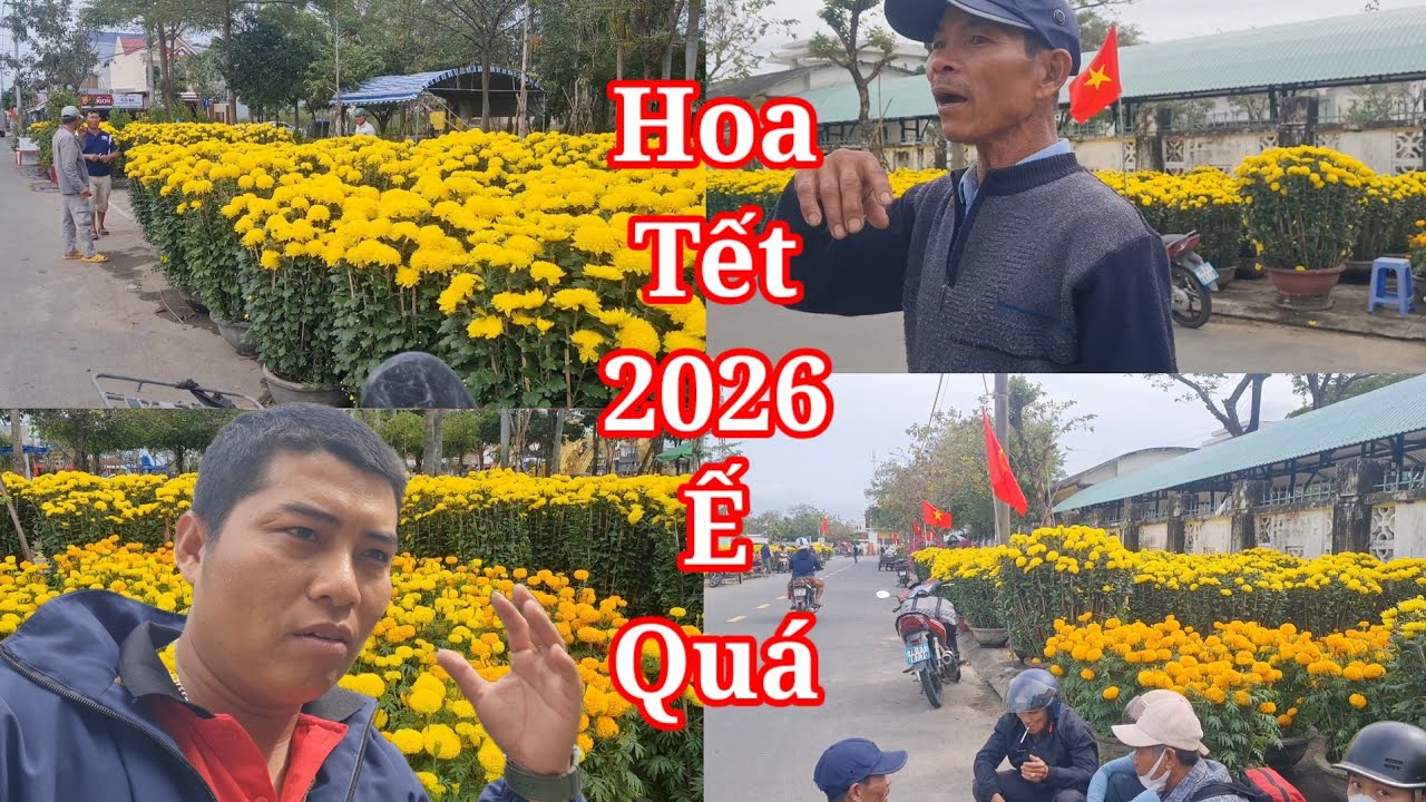 Không khí chợ hoa tết 2026 tại Đông Hòa Phú Yên người bán nhiều người mua thì ít lắm