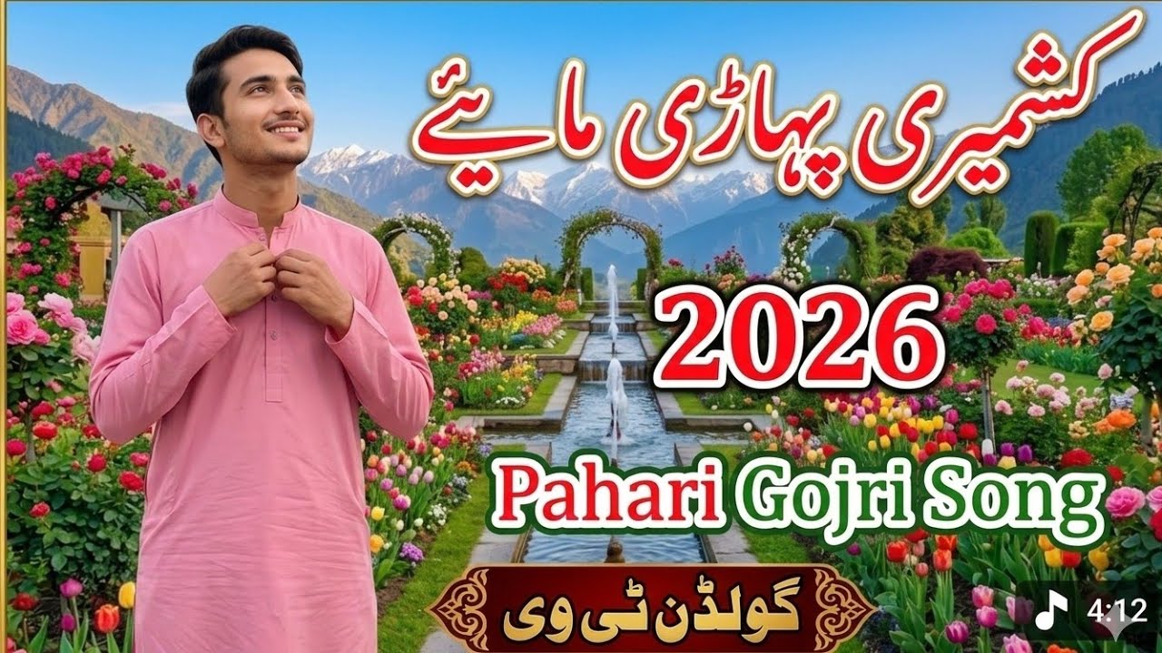 Hazara new songs || hazara new Best songs || Singer Babar panjkooti wedding function 2023 #goldentv