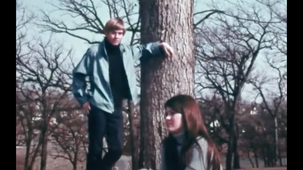 Анатомия подростковых ухаживаний • Готовы ли вы к браку (1970)