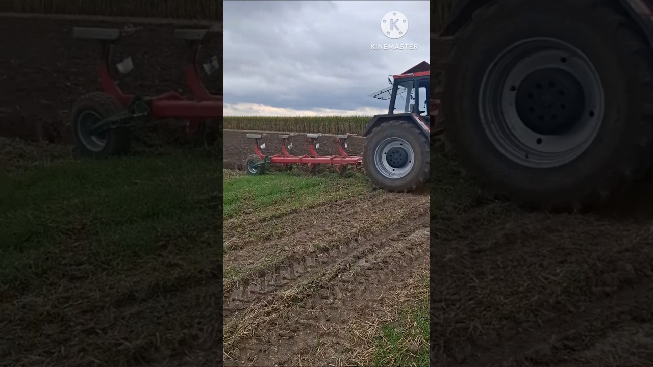 Gruberowanie,orka oreczka i wałowanie 😁1634 1014