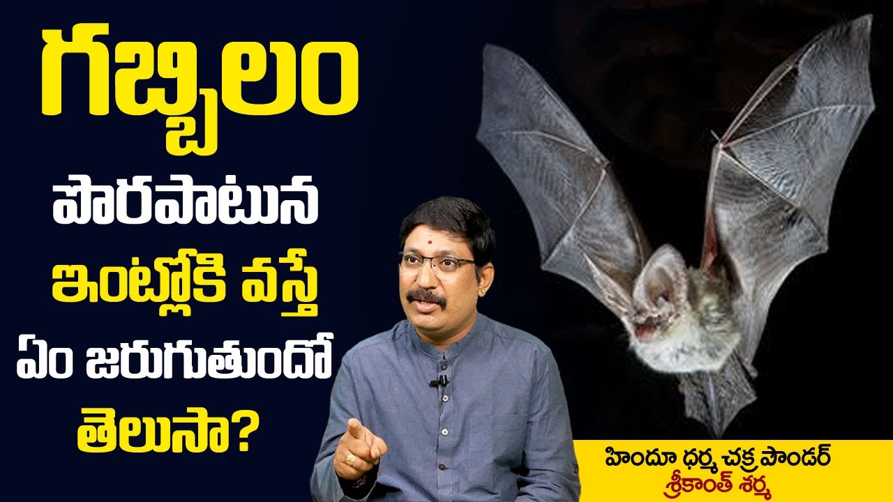True Facts About The Bats || Bat In House || Gabbilam Intloki Vaste? || Srikanth Sharma || SS