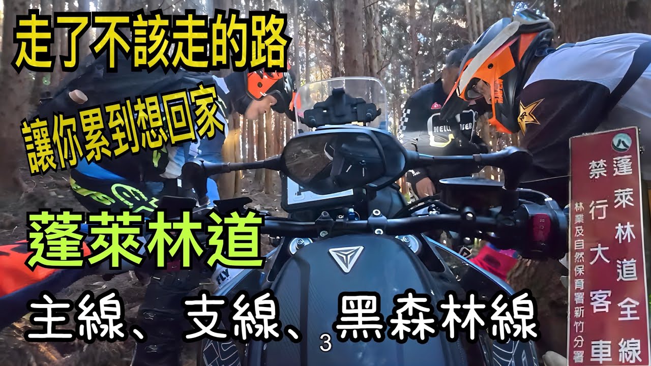 苗栗南庄/￼蓬萊林道路線￼🌳 450MT￼/林道越野/一日遊￼