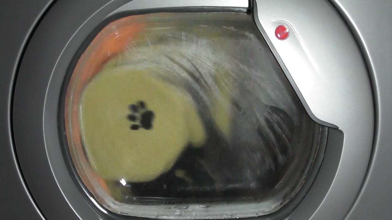 Extra Hygiene cycle on Extra Dry - Link X Care Condenser Dryer (Requested)