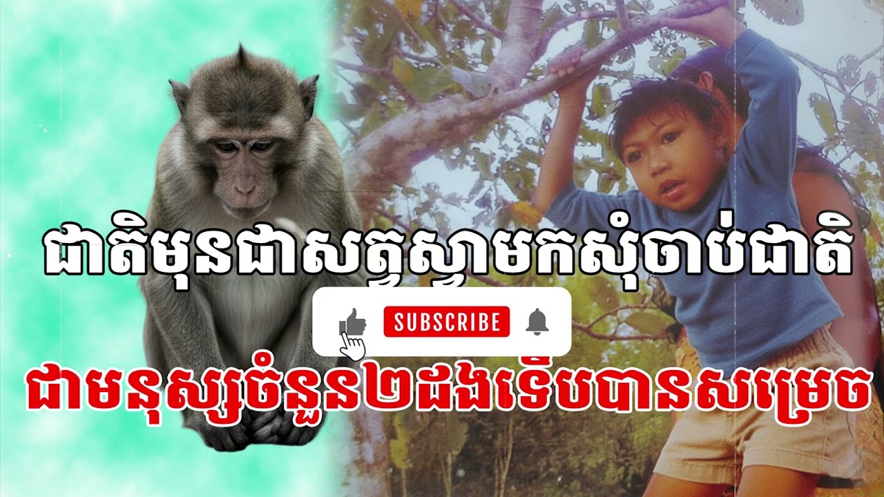 ក្មេងប្រុសម្នាក់ជាតិមុនជាសត្វស្វា មកសុំចាប់ជាតិជាមនុស្សចំនួន២ដងទើបបានសម្រេច