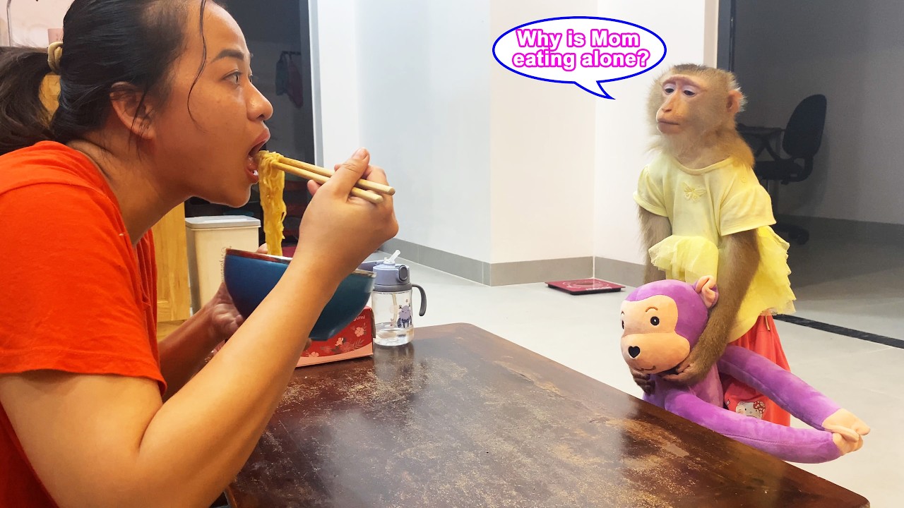 Monkey Lyly felt uneasy seeing her mother eating instant noodles in the middle of the night.