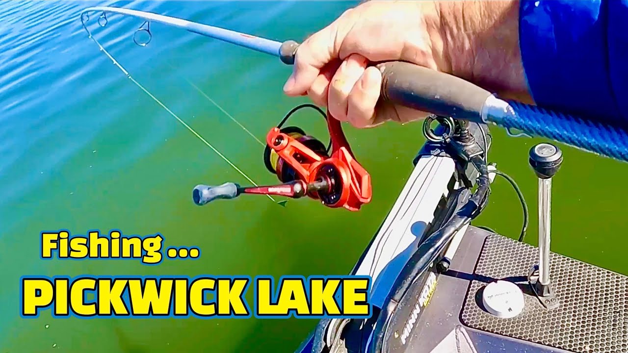 The TRUTH about fishing PICKWICK LAKE !!