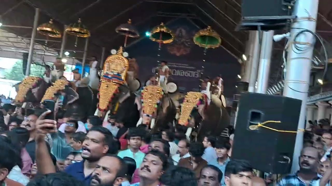 ജയരാമേട്ടന്റെ മേളം 😍😍 | #ettumanoor #chenda 