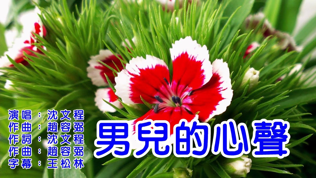 沈文程  男兒的心聲