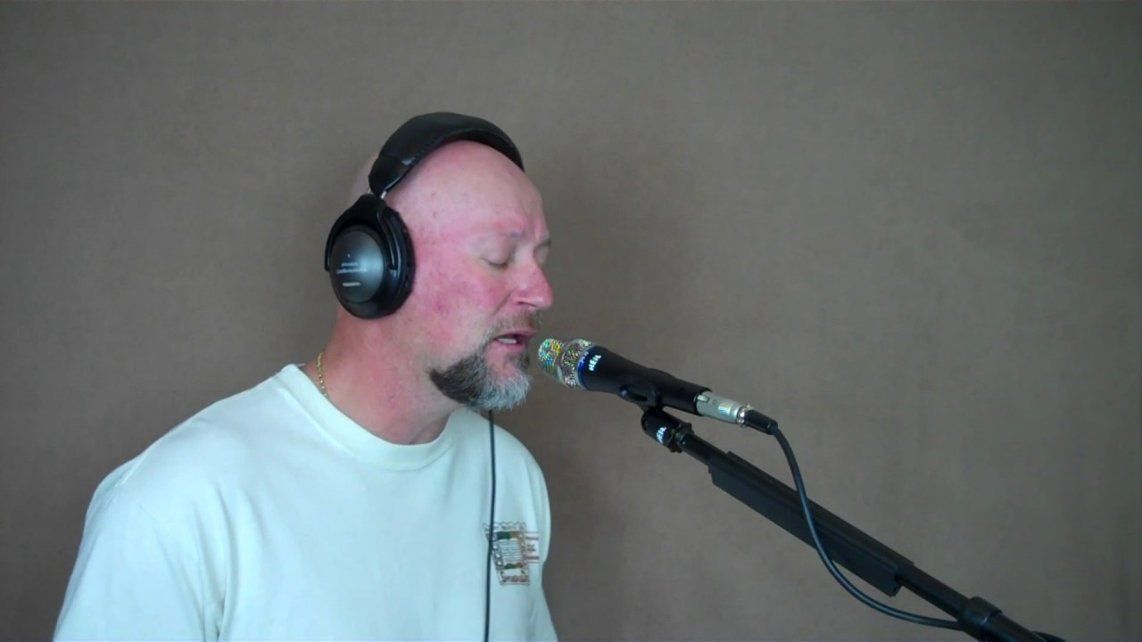 Cover of Ann Murray's You Needed Me